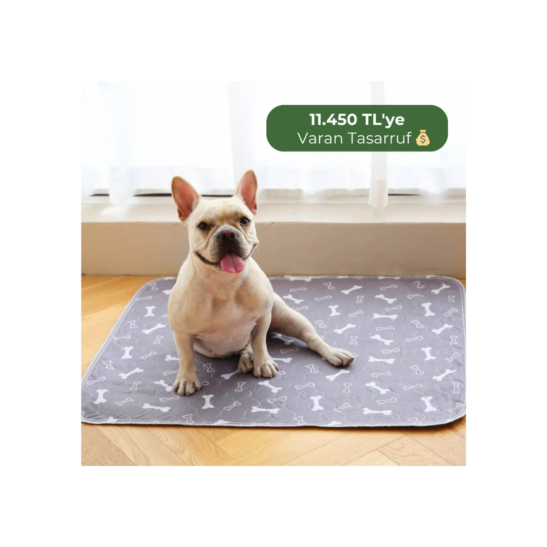 Steppe Ped: Yıkanabilir & 4 Katmanlı Sızdırmaz Köpek Eğitim Pedi 70x80