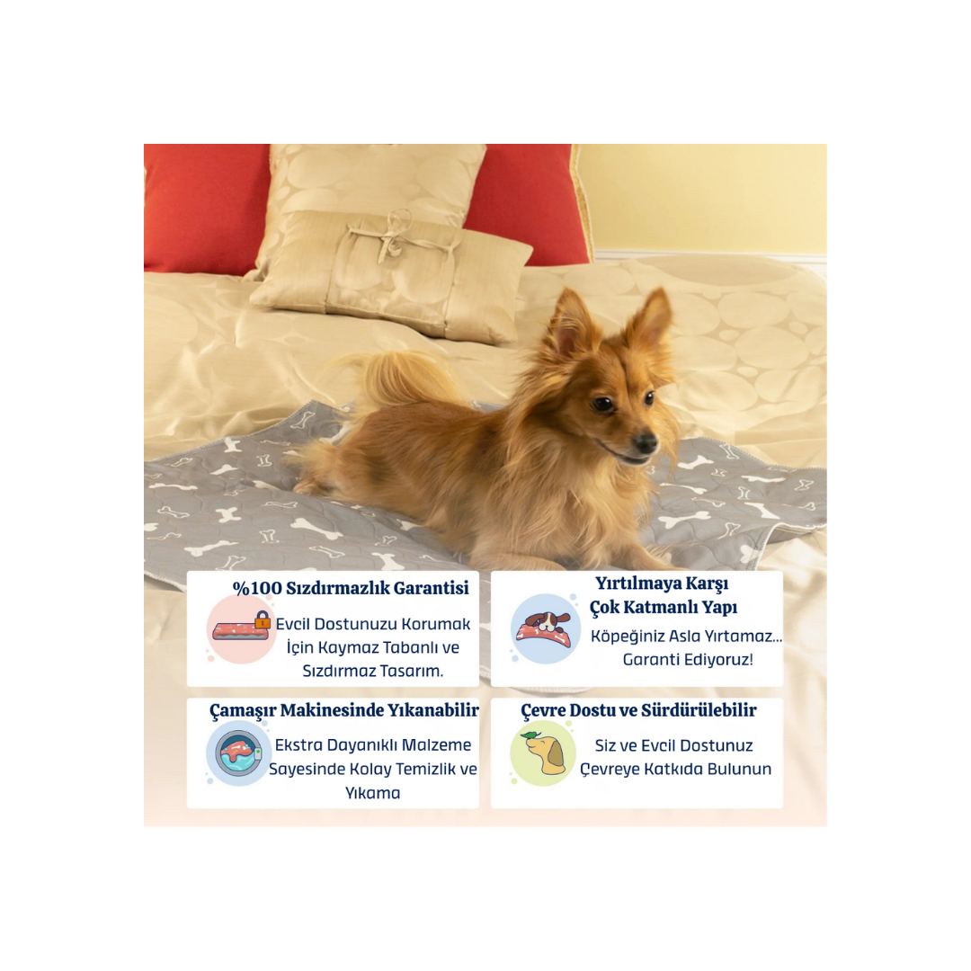 Steppe Ped: Yıkanabilir & 4 Katmanlı Sızdırmaz Köpek Eğitim Pedi 70x80