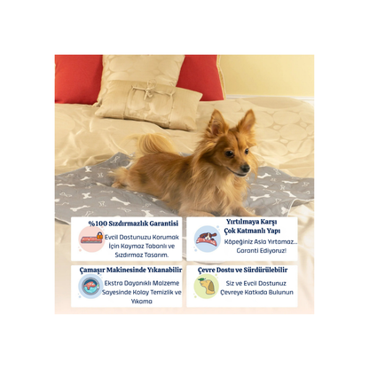 Steppe Ped: Yıkanabilir & 4 Katmanlı Sızdırmaz Köpek Eğitim Pedi 70x80