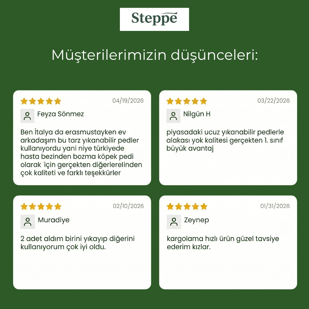 Steppe Yıkanabilir Köpek Tuvalet Pedi Seti (Kaydırmaz & Yüksek Emicilik)